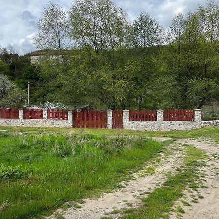 Отель La Gradina Mehadia Экстерьер фото