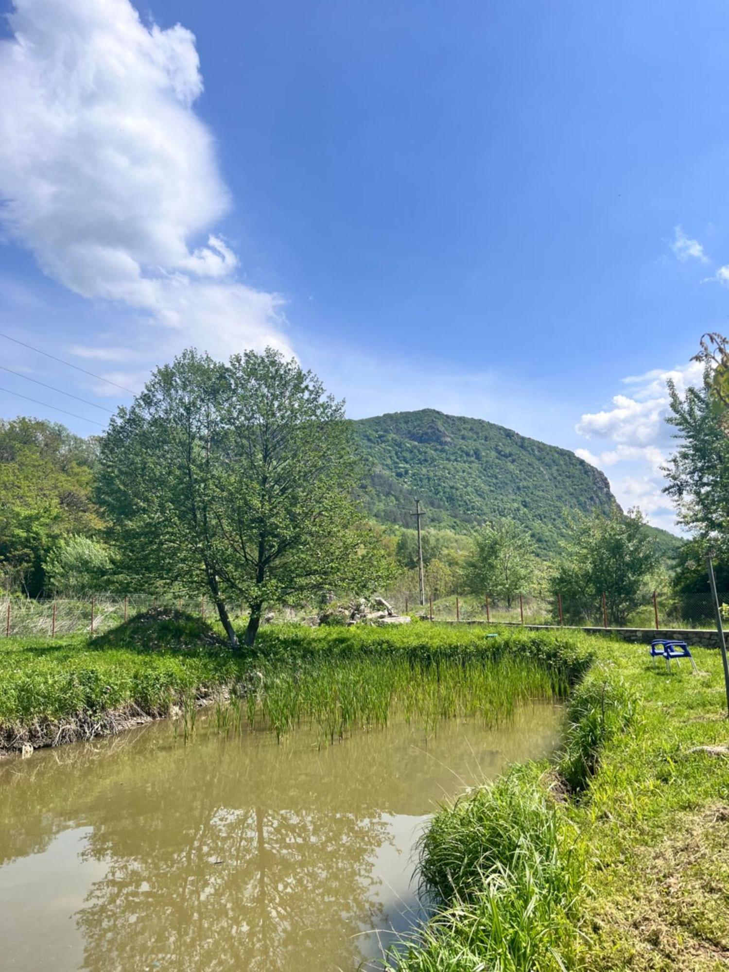 Отель La Gradina Mehadia Экстерьер фото