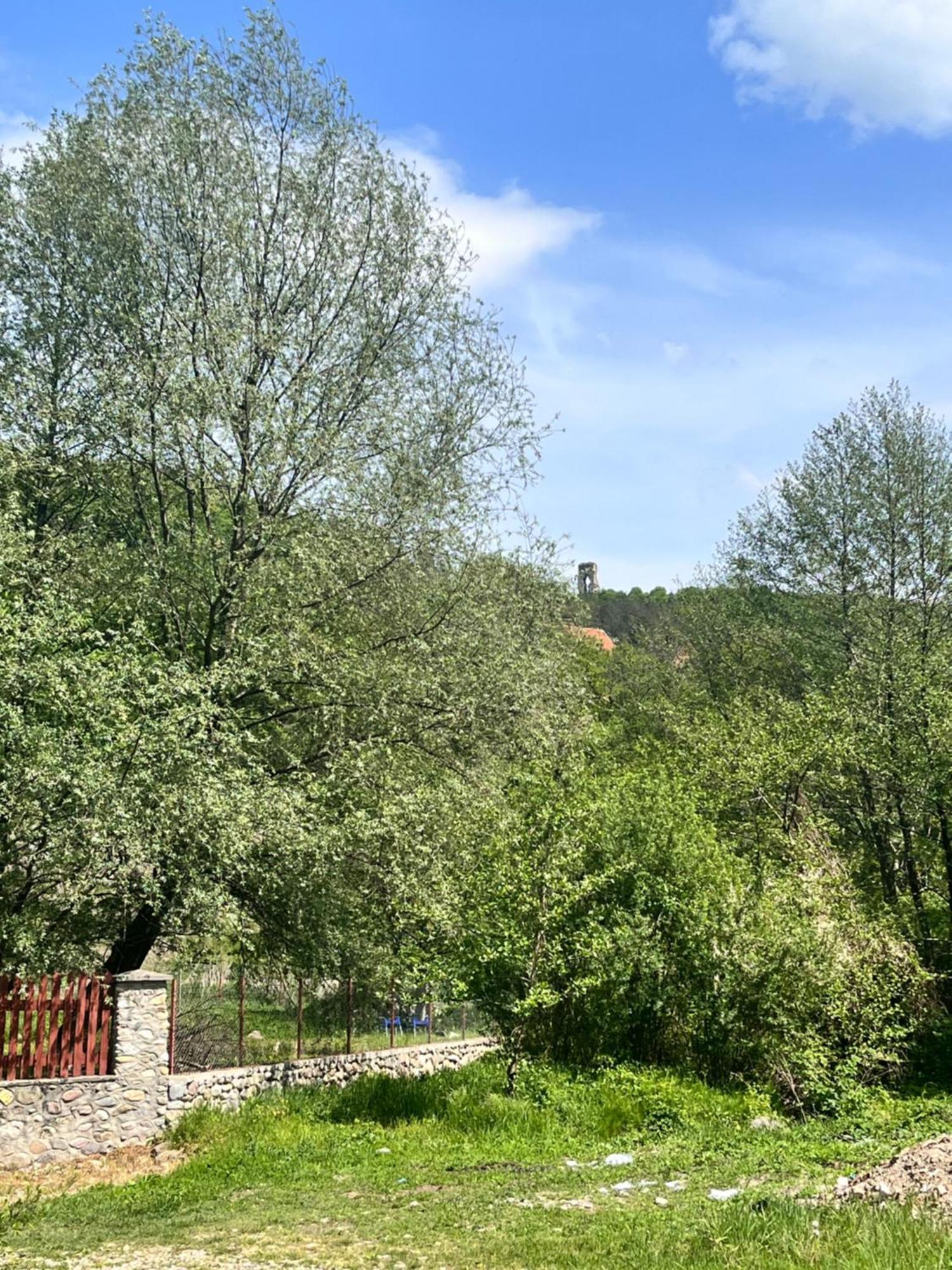 Отель La Gradina Mehadia Экстерьер фото