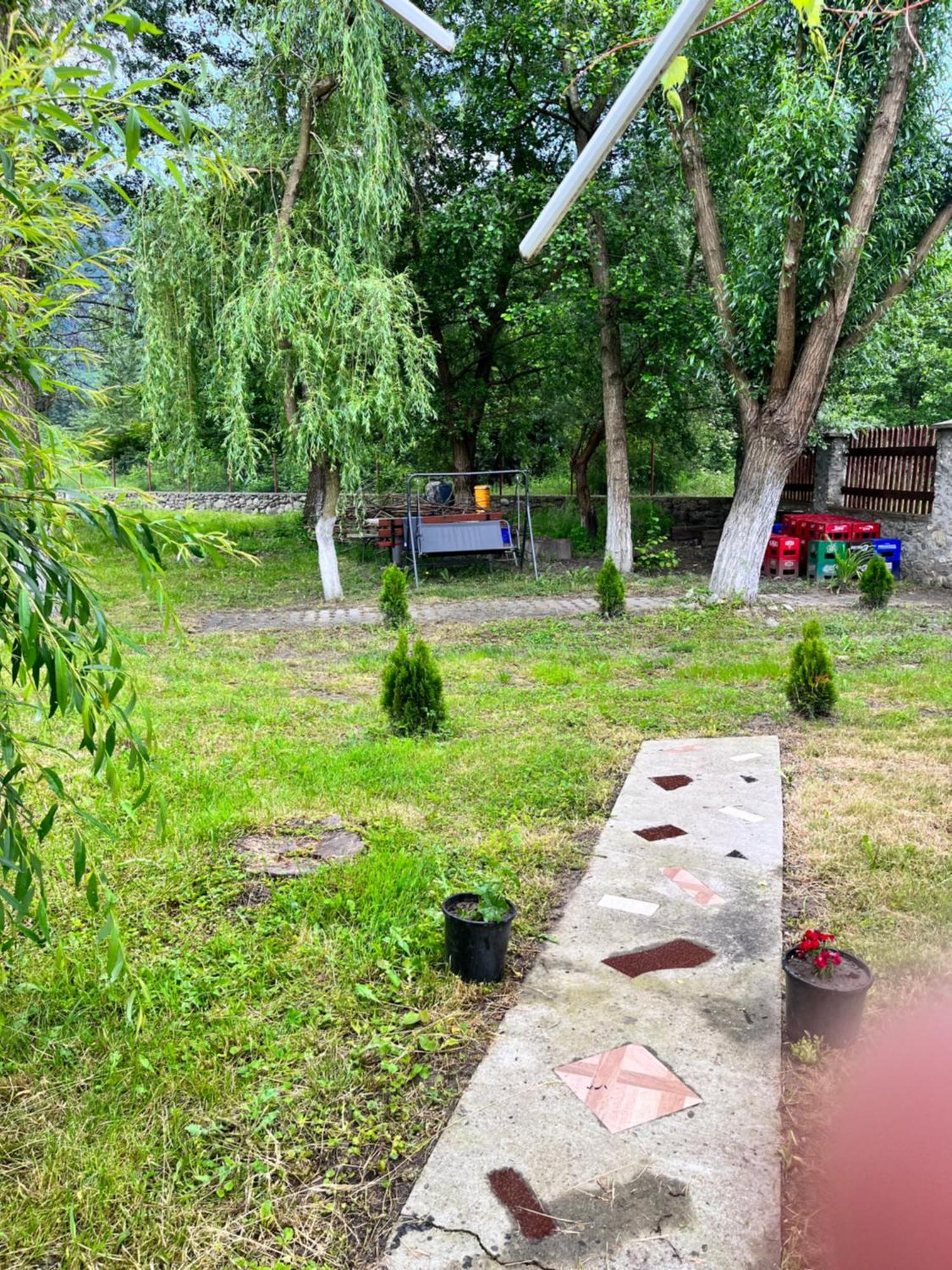 Отель La Gradina Mehadia Экстерьер фото